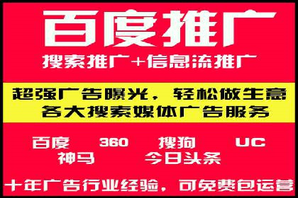 百度广告竞价策略详解：某电商平台的成功案例